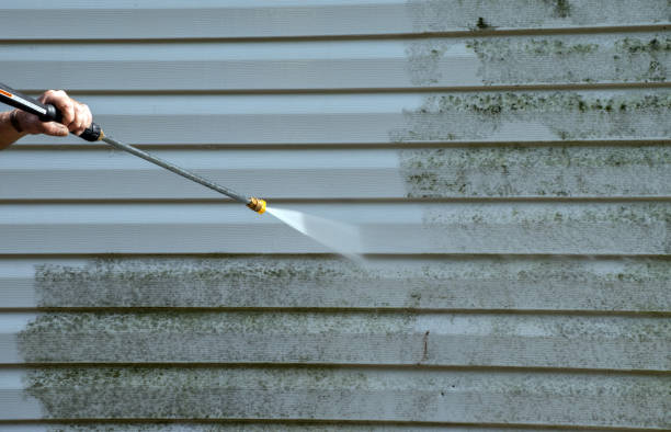 Best Roof Cleaning and Mildew Removal in Bennington, NE
